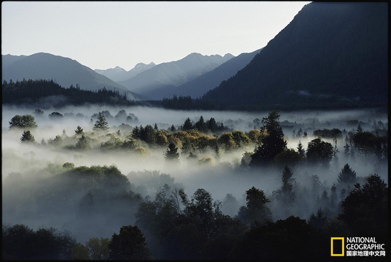 奧林匹克國家公園，華盛頓州攝影：Sam Abell，國家地理創(chuàng)意版