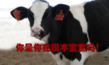 關(guān)我什么事！