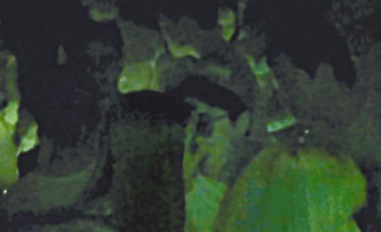 房祖名去年被港媒直擊在中環(huán)夜店與長發(fā)妞互動曖昧，女生正是Nana