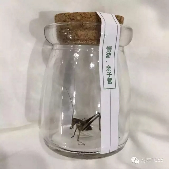 看看我的成果吧！