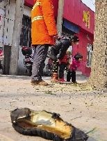 老漢右腿燒傷，樹(shù)下扔了一只燒焦的鞋