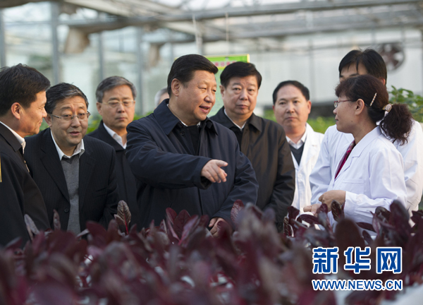  27日下午，習(xí)近平在山東省農(nóng)業(yè)科學(xué)院智能化溫室了解農(nóng)業(yè)科技創(chuàng)新情況。