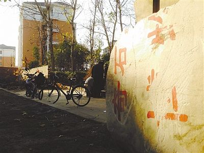 昨日，“上海奇石盆景博物館”原址上，已矗立起小區(qū)樓盤，而刻著博物館名的巨石，廢棄在一旁。本版圖片/新京報記者 張永生 攝