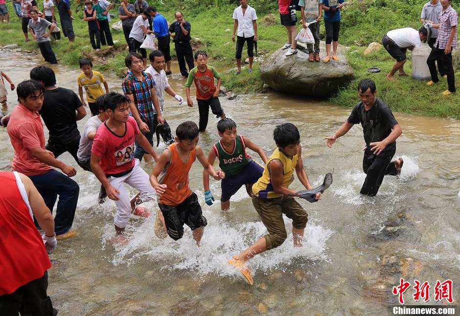 7月9日，村民在小河里摸魚搶魚。譚凱興 攝