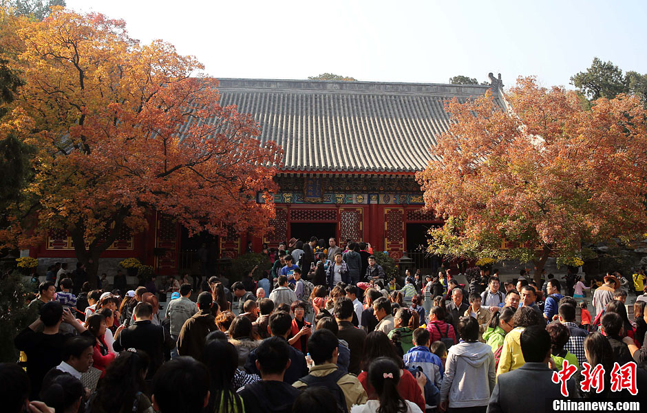 　10月26日，北京香山公園內(nèi)游客摩肩接踵。