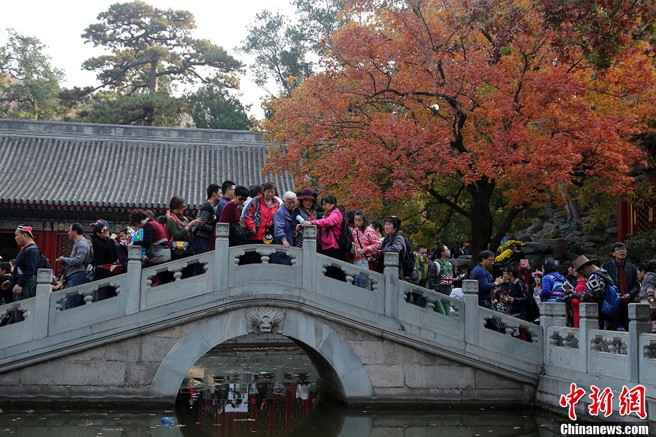 　10月26日，北京香山公園內(nèi)游客摩肩接踵。