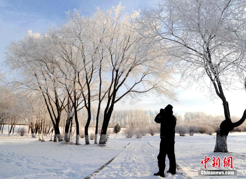 12月10日,受降溫天氣影響,黑河市黑龍江江畔出現(xiàn)綿延數(shù)公里的霧凇景觀。