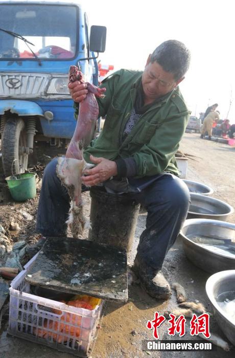 圖為12月1日，104國(guó)道靜?？h城附近，顧客挑好后，商販拎著死兔將皮完整地扒下來(lái)。田寶希 攝 圖片來(lái)