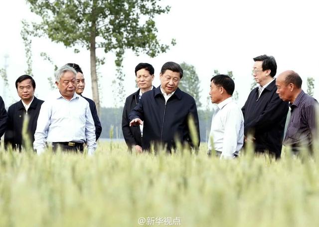 習近平走進糧田,看麥穗灌漿,問農(nóng)田建設。