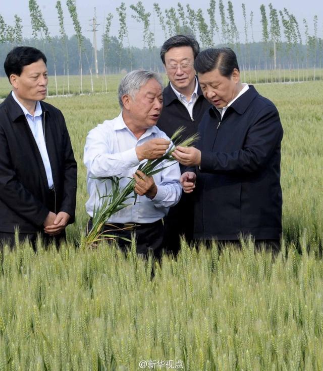 習近平走進糧田,看麥穗灌漿,問農(nóng)田建設。