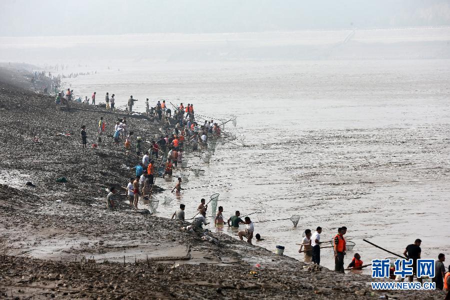 7月6日,在山西省平陸縣黃河岸邊,人們?cè)诤舆叢稉泣S河“流魚”。