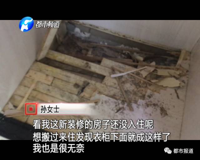 蟻族大軍入侵！十幾萬裝修的新家被“吃掉”
