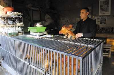 南京另一家農(nóng)貿(mào)市場內(nèi)待售的活雞。因南京出現(xiàn)H7N9禽流病例，買活雞的顧客減少。
