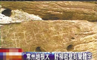 “常州趙根大” 2009年3月27日，臺(tái)灣北海岸野柳地質(zhì)公園巖壁上被刻下“中國(guó)常州趙根大”字樣。臺(tái)灣媒體將此事報(bào)道后，趙根大公開道歉。