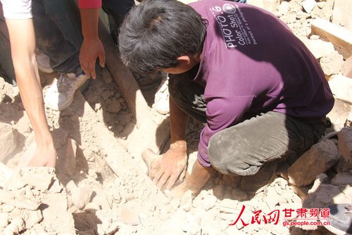 小黃狗露出了鼻子。王生元/攝