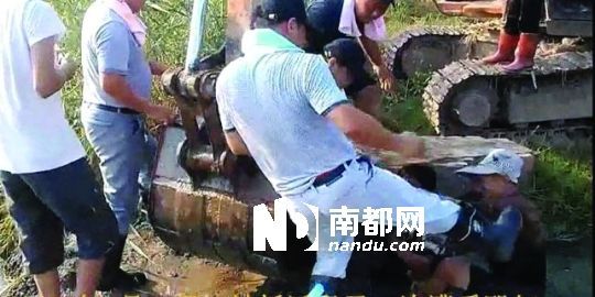 幾名戴黑帽的男子將一名老人推入水塘，后反復(fù)腳踹。