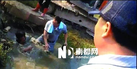 男子沒入水塘后試圖反抗，遭戴黑帽男子毆打。視頻截圖