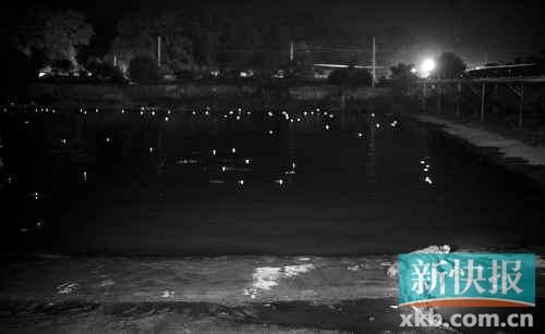 昨日，西湖村鱷魚養(yǎng)殖場已修復(fù)圍欄。