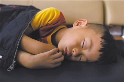 9月6日，等待錄制節(jié)目的多多躺在沙發(fā)上熟睡。新京報記者 侯少卿 攝