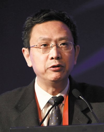 財(cái)政部財(cái)政科學(xué)研究所所長(zhǎng)賈康。圖/CFP