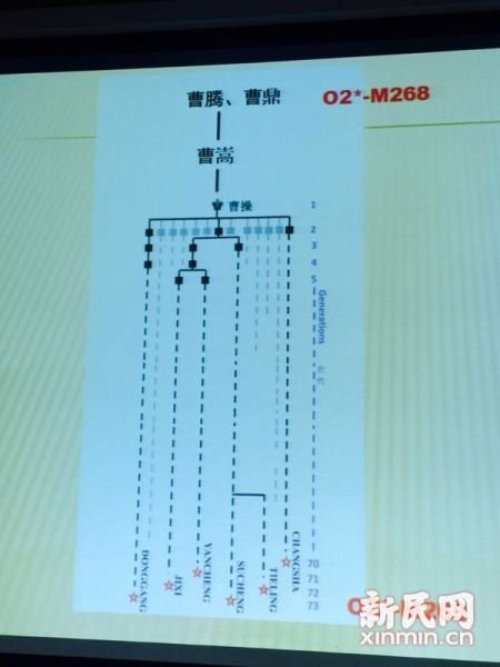 圖說：復(fù)旦課題組發(fā)布曹操家族DNA研究結(jié)果。新民網(wǎng) 記者 李欣 攝
