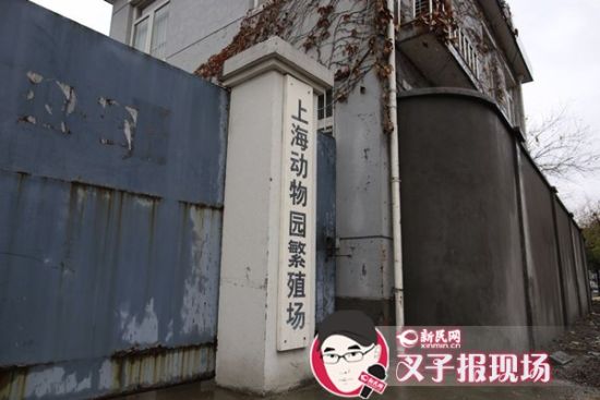 圖說(shuō)：新民網(wǎng)記者趕到時(shí)，上海動(dòng)物園繁殖場(chǎng)大門緊閉。新民網(wǎng) 記者 蕭君瑋 攝