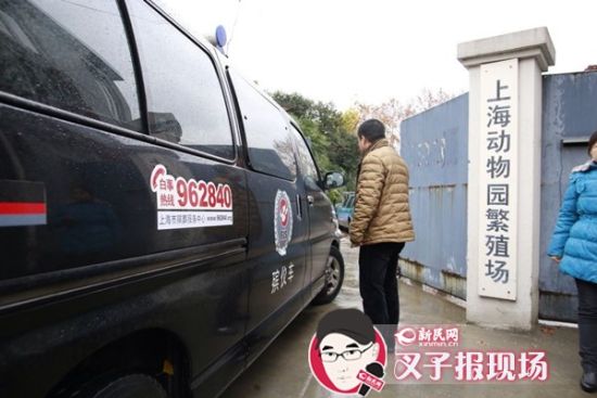 殯葬車到達(dá)現(xiàn)場(chǎng)。新民網(wǎng) 記者 蕭君瑋 攝