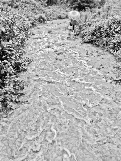 梅子回家的山道，晴天是路，雨天是河