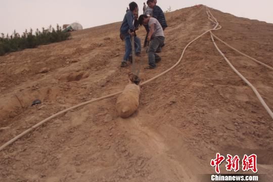 　4月27日上午，當?shù)卮迕裨诠系販洗逡痪G化處挖出一枚長1米，重200斤的炸彈，5月10日，這枚炸彈已