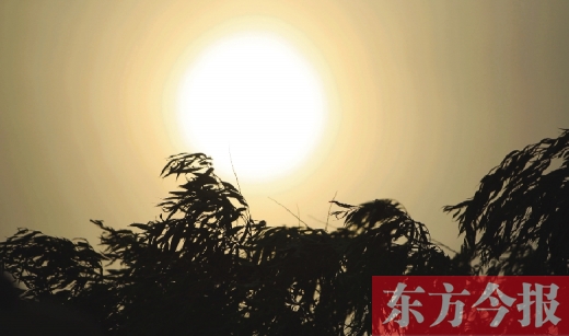 五月十四日，傍晚時(shí)分，鄭州的天空再次被沙塵遮蓋