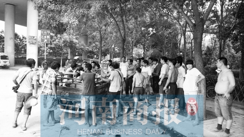 北環(huán)南陽(yáng)路立交橋下，瓜農(nóng)小秦被打后，附近瓜農(nóng)紛紛圍了上來(lái)