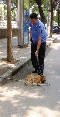 一名隊員拿一根叉子樣的工具，叉住狗狗的脖子