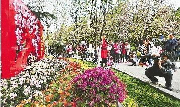 市民紛紛將鏡頭對準花叢。
