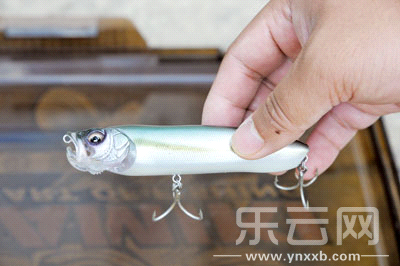 　　又稱(chēng)擬餌釣魚(yú),起源于歐洲,國(guó)內(nèi)翻譯為“路亞”。