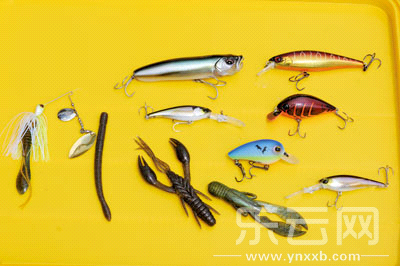 　　又稱(chēng)擬餌釣魚(yú),起源于歐洲,國(guó)內(nèi)翻譯為“路亞”。