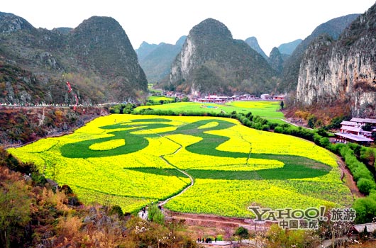　　貴州油菜花景自以“立體多層,起伏跌宕”的油菜花景觀著稱。(圖片來源:CFP)
