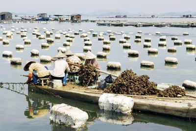 以漁為生，造就了他們不同于內(nèi)地的口味