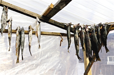 長白山腳下一家小餐館內(nèi)晾曬的冷水魚。