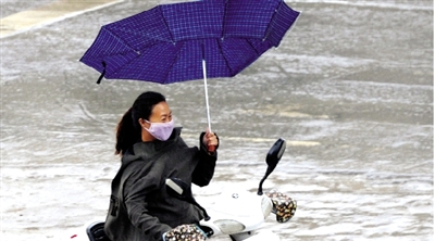 昨日下午，隴海路上，雨中風(fēng)大，一位女士的傘被吹翻了。