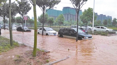 昨日，信陽突降暴雨，路面積水已淹沒輪胎。首席記者 何正權(quán) 通訊員 楊小燕 攝影