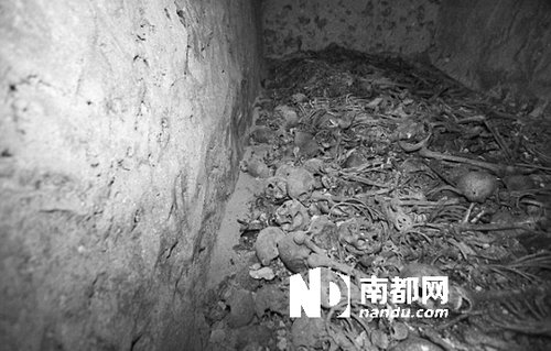 　5月29日，在以色列特拉維夫市雅法地區(qū)，一處集體墳?zāi)贡话l(fā)現(xiàn)。