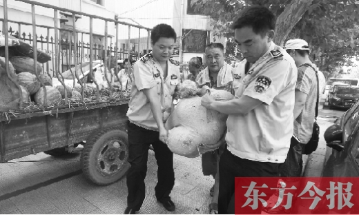 昨日，鄭州金水區(qū)執(zhí)法局的執(zhí)法隊(duì)員捐錢買瓜，替瓜農(nóng)解憂