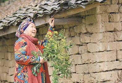 公式“時尚奶奶”的賞花照，收獲了好多人的點贊。 受訪者供圖
