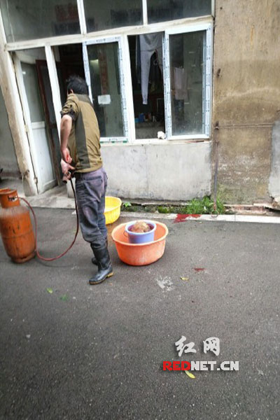 5月8日，男子在校園里殺狗，地上殘留一塊血跡。目擊者供圖。