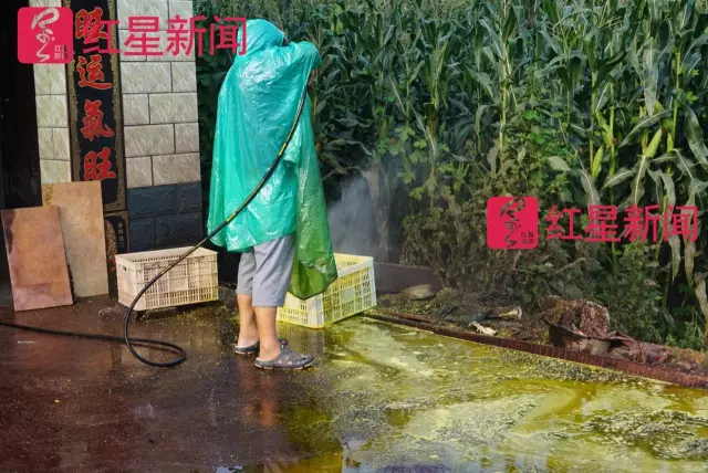 文玩核桃遇冷由幾萬一對降到5元沒人要？商戶否認(rèn)