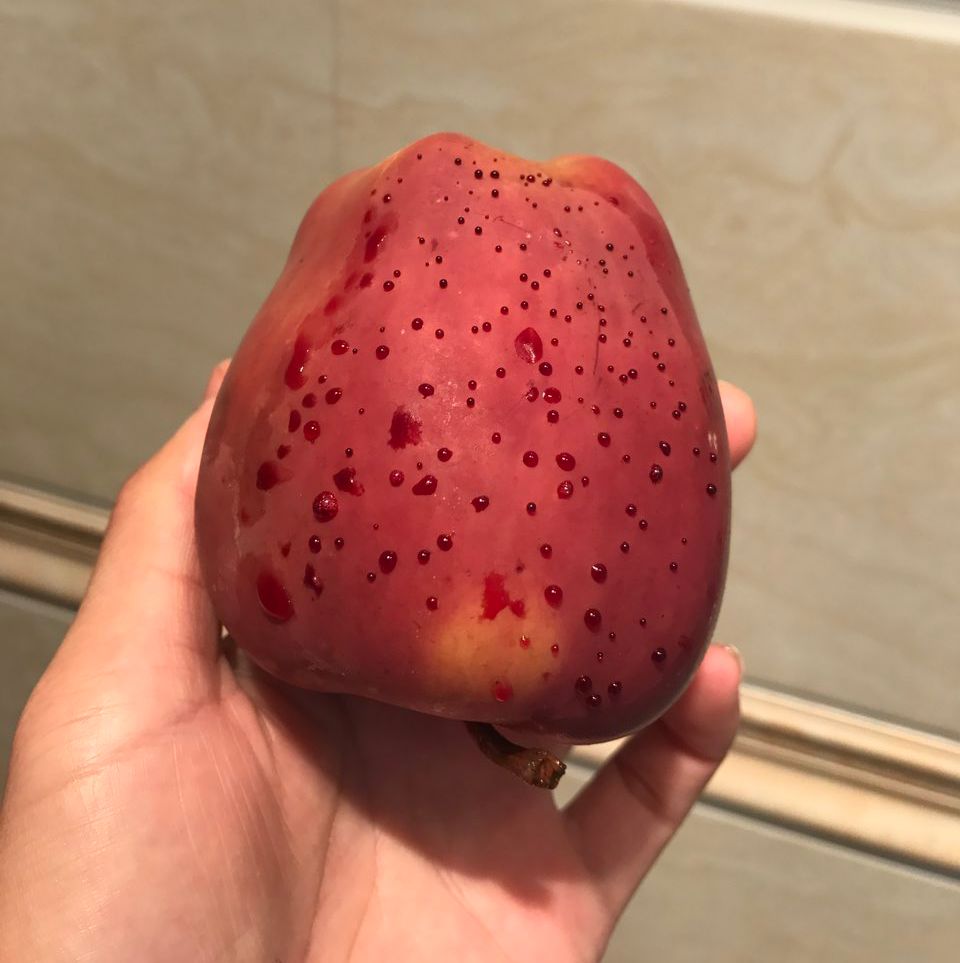 嚇懵！女子用熱水泡蘋果結(jié)果冒出血珠 咋回事？