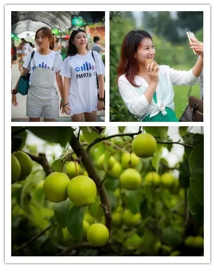 美女與香梨，你更愛哪一個(gè)？！