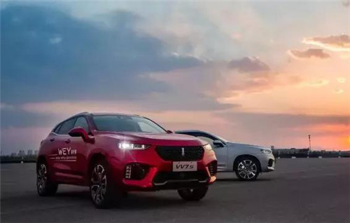 去年“蹦”出來(lái)的新汽車品牌們，現(xiàn)在活得怎么樣了？