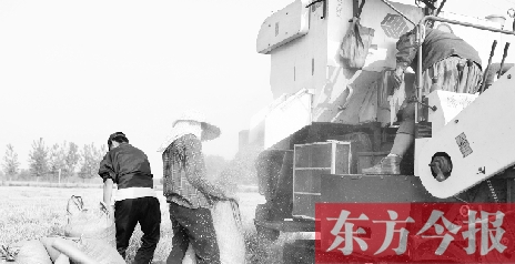 李正厚的妻子鮑本華（右）和一位村民拎著麻袋來到收割機前，接住傾倒出來的麥粒