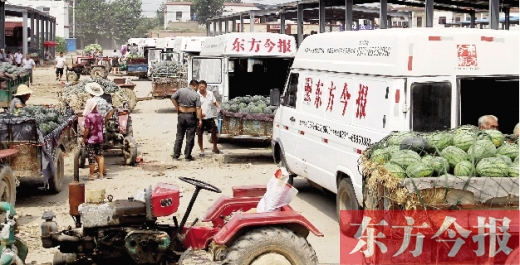 昨日，東方今報與河南福壽園聯合購瓜，只有更多的市民和企業(yè)加入購瓜行動，瓜農們才能早日回家